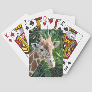 Giraffe - Bicycle Playing Cards