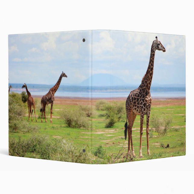 Giraffe Binder (Background)