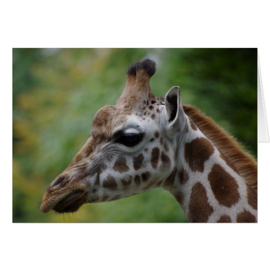 Giraffe Birthday Card