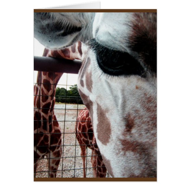 Giraffe blank card (Front)