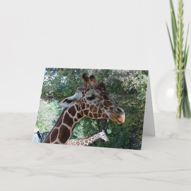 Giraffe Blank Inside Greeting Card (Front)