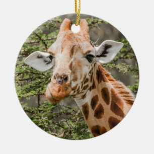 Giraffe Browsing Ceramic Ornament