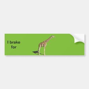 Giraffe Bumper Sticker