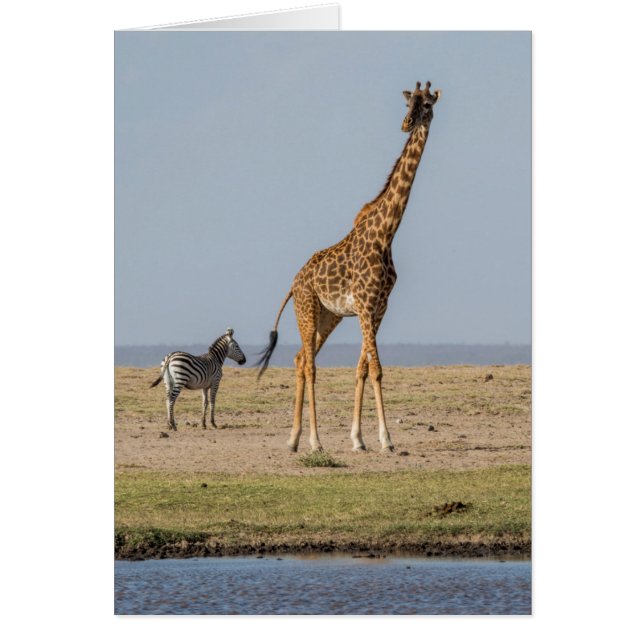 Giraffe by a Waterhole (Front)