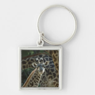 Giraffe calf with giraffes keychain