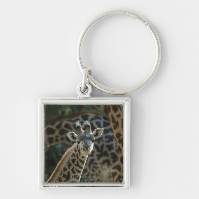 Giraffe calf with giraffes keychain (Front)