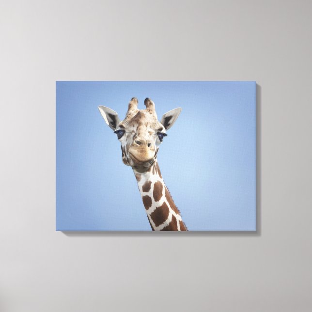 Giraffe Canvas Print (Front)