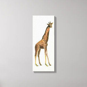 Giraffe Canvas Print