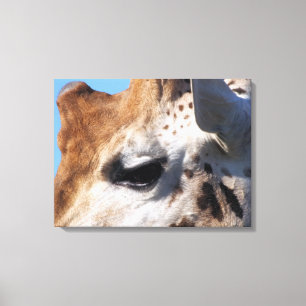 GIRAFFE   CANVAS PRINT