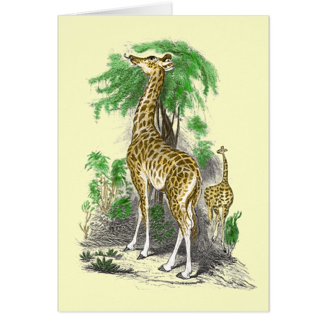 Giraffe Cards (Front)