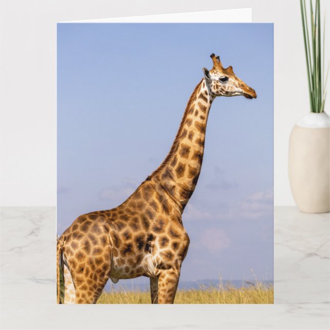 GIRAFFE CARTE DE SALUT D'ANNIVERSAIRE (Devant)