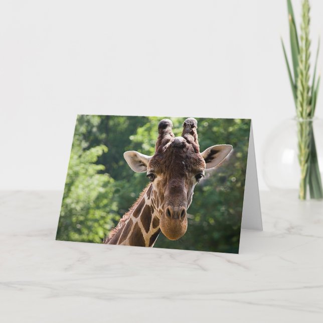 Giraffe ・ Carte de voeux (Devant)