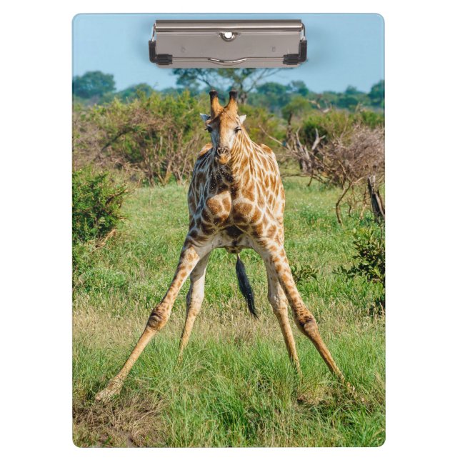 Giraffe clipboard (Front)