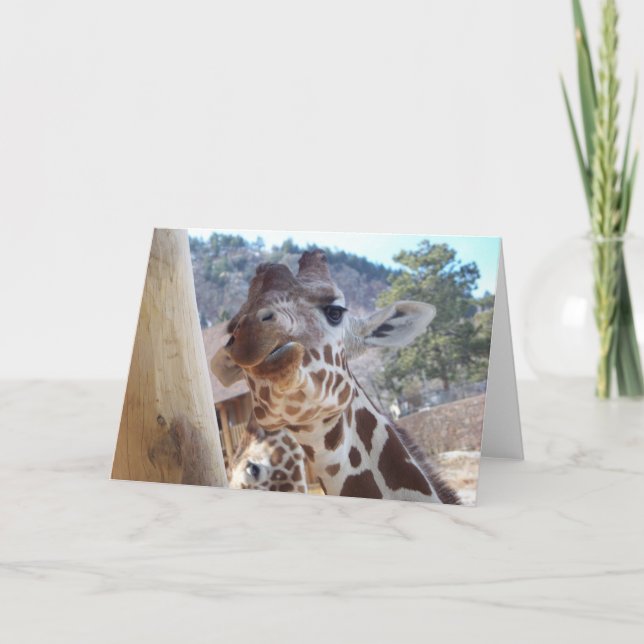 Giraffe Close Up Card (Front)