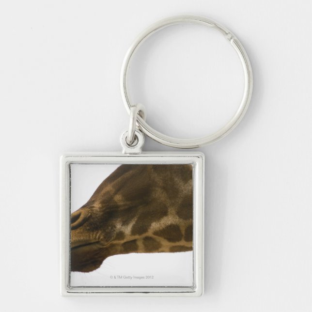 Giraffe,close up keychain (Front)