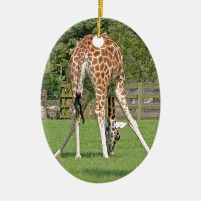 Giraffe Design Ceramic Ornament (Front)