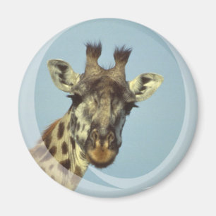 Giraffe Design  Magnet