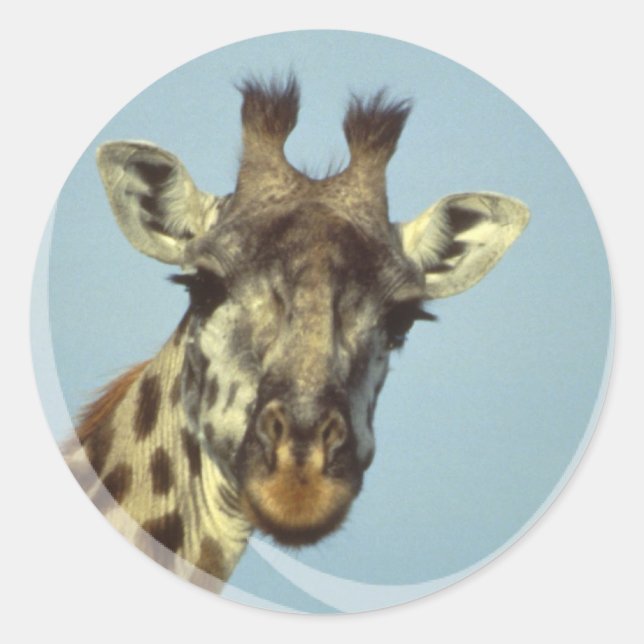 Giraffe Design  Stickers (Front)