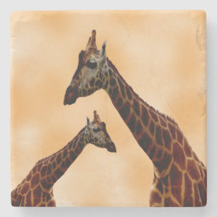 Giraffe Double Trouble,   Stone Coaster
