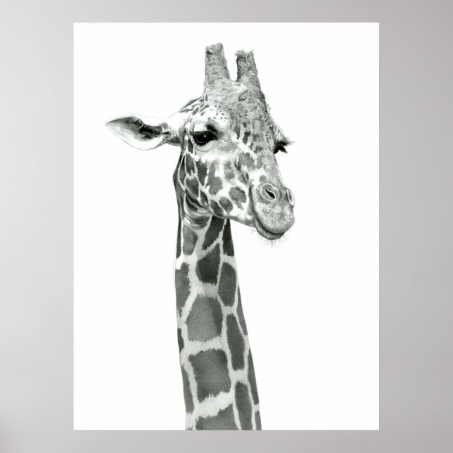 Giraffe Drawing Poster (Front)
