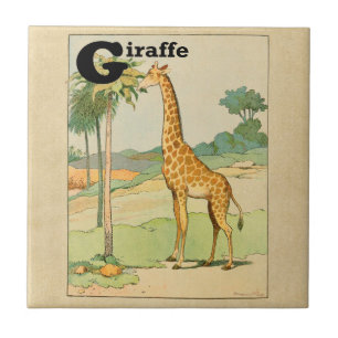 Giraffe Eating Acacia in the Desert Tile