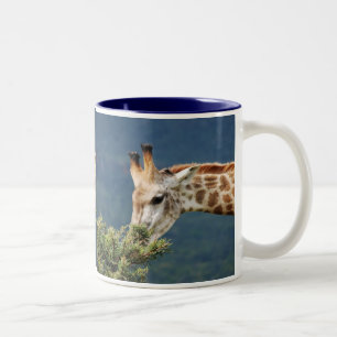 Giraffe eating some leaves Two-Tone coffee mug