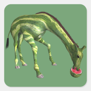 Giraffe Eating Watermelon Square Sticker