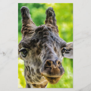 Giraffe Eyelashes Stationery