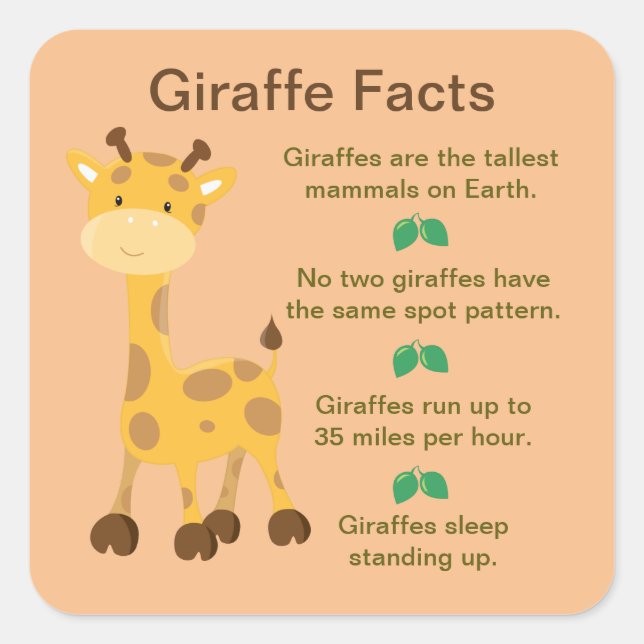Giraffe Facts  Square Sticker (Front)
