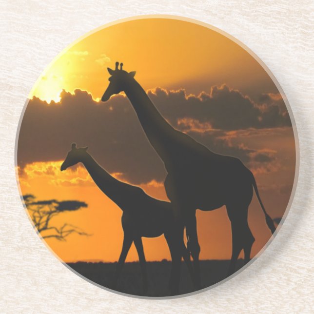 Giraffe Family 2 Coaster (Front)
