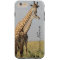 Giraffe Family iPhone 6 Plus Case Personalize!