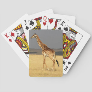 Giraffe full body Africa African Animals Playing Cards
