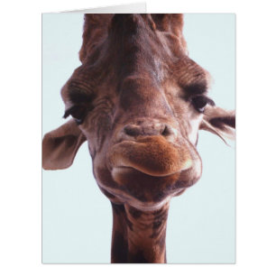 Giraffe Funny Face