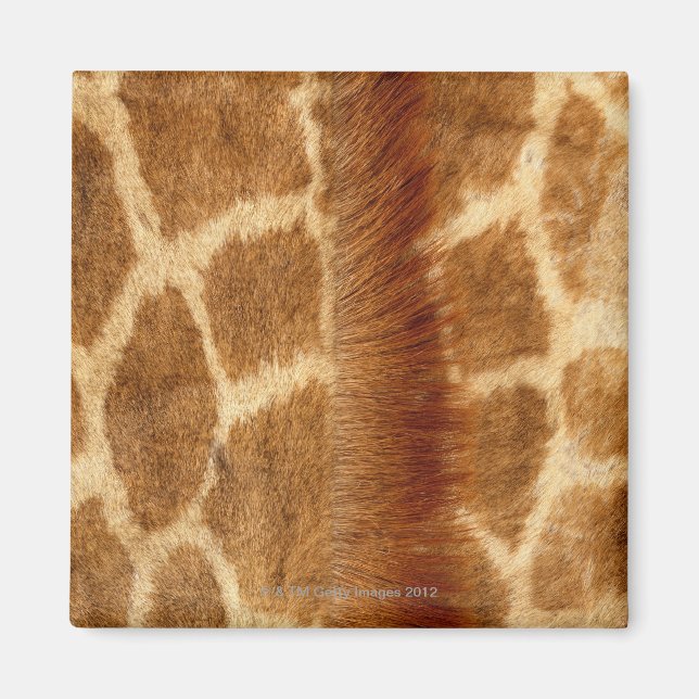 Giraffe Fur Magnet (Front)