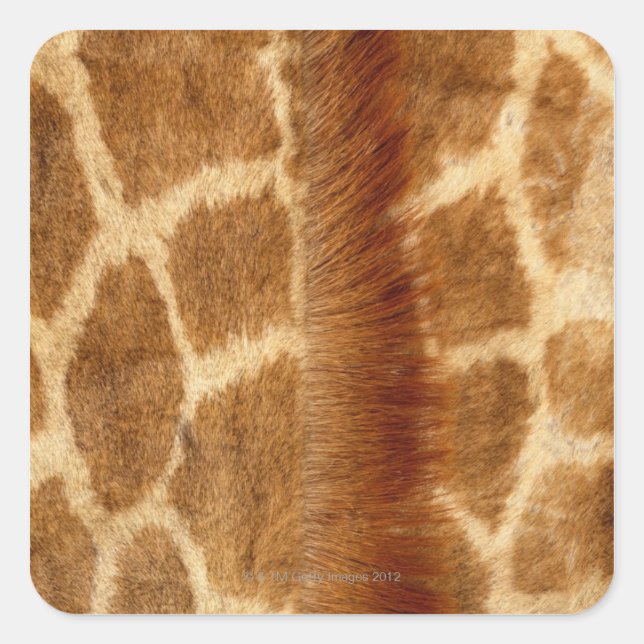 Giraffe Fur Square Sticker (Front)