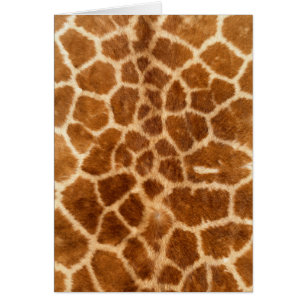 Giraffe Fur Wildlife Cards Series