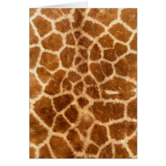 Giraffe Fur Wildlife Cards Series