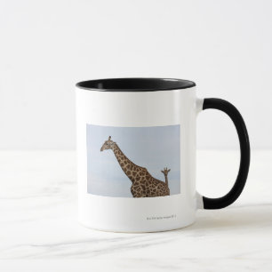 Giraffe (Giraffa camelopardalis), Chobe National Mug