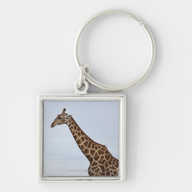 Giraffe (Giraffa camelopardalis), Chobe National P Keychain (Front)