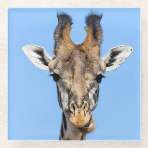 Giraffe Glass Coaster