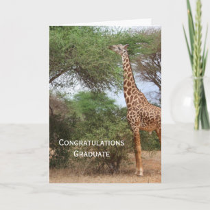Giraffe Graduation Card