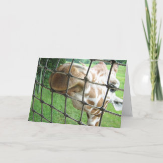 Giraffe Greeting Card