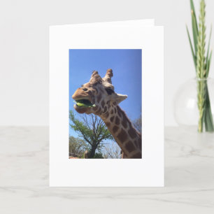 Giraffe Greeting Card