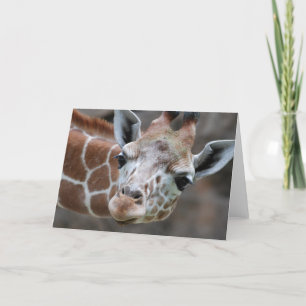 Giraffe Greeting Card