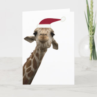 Giraffe Greetings Holiday Card