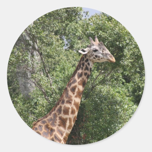 giraffe head classic round sticker (Front)