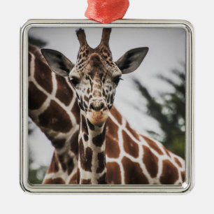 Giraffe head Giraffe fur print African Animal Metal Ornament