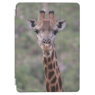 Giraffe Headshot iPad Air Cover