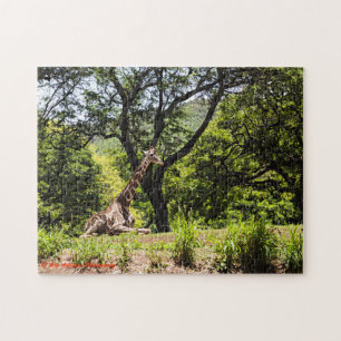 Giraffe Honolulu Zoo Jigsaw Puzzle