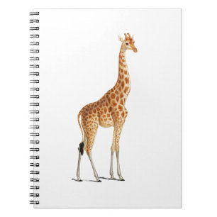 Giraffe Illustration Design for Kids Room Notebook